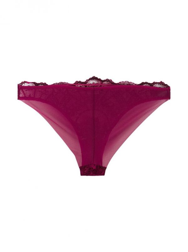 Desert Rose Orchid Brief