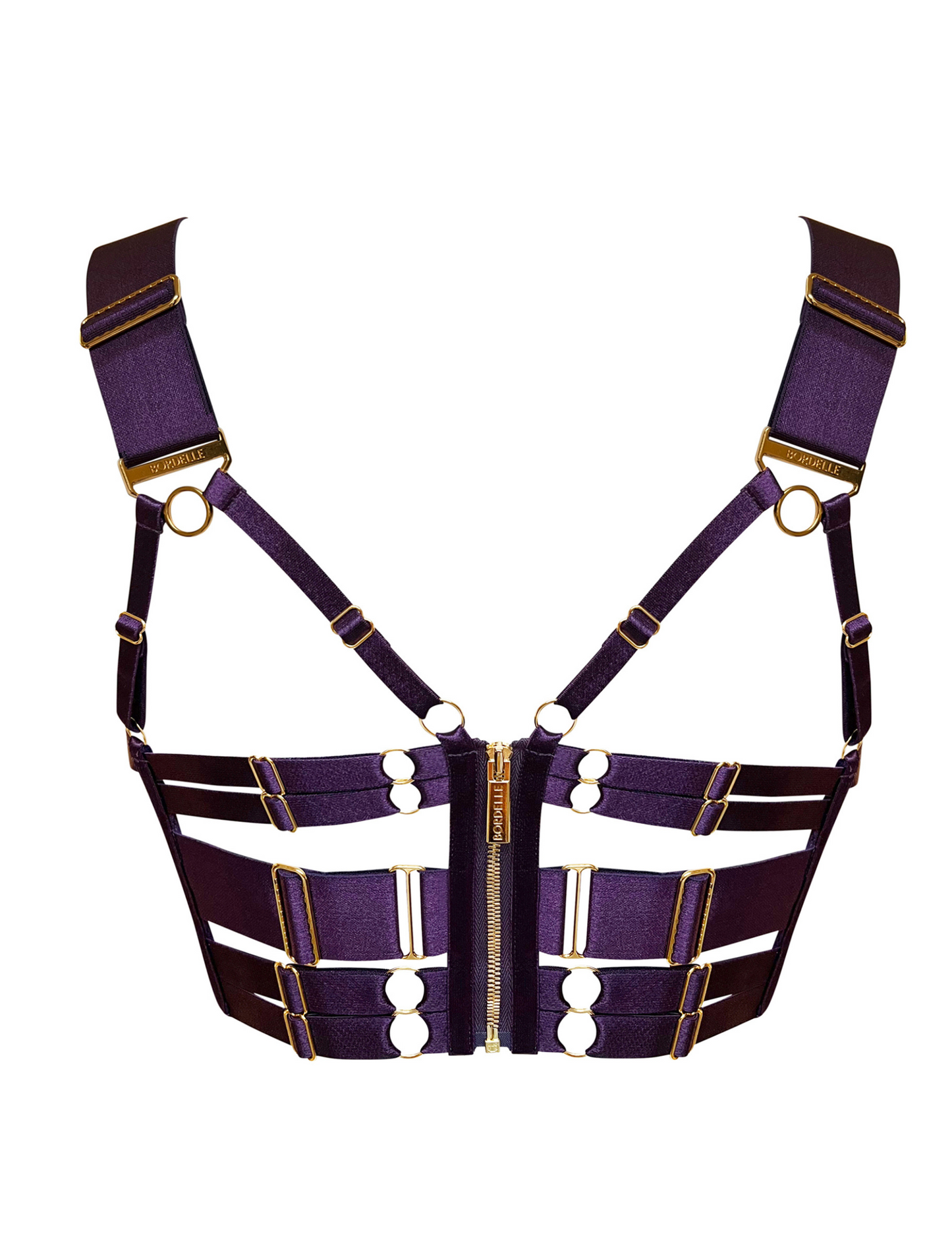 Retta Deep Purple Panelled Bodice Bra