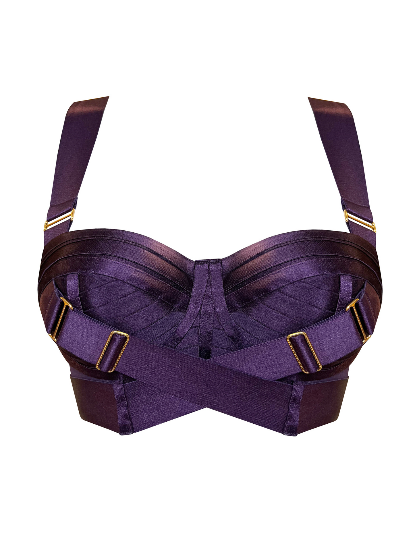 Retta Deep Purple Panelled Bodice Bra
