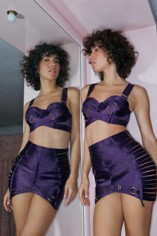Retta Deep Purple Panelled Bodice Bra