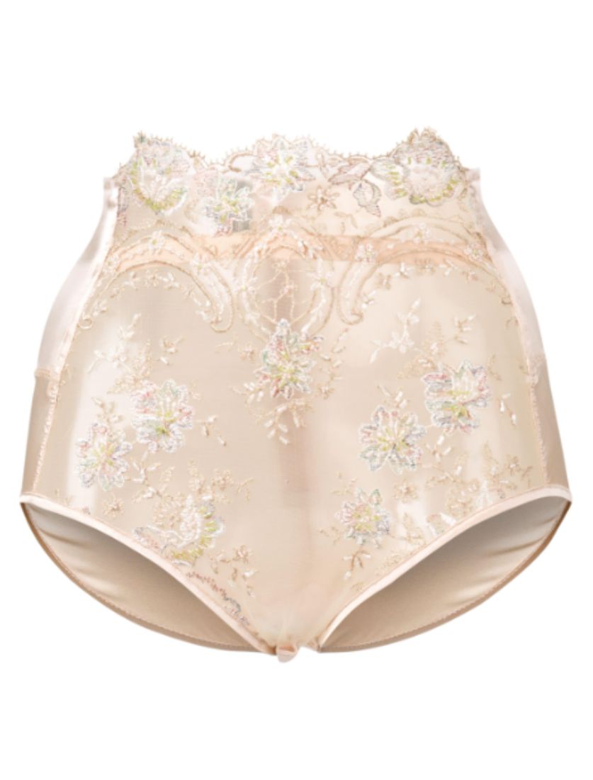 Serafina High Waist Briefs