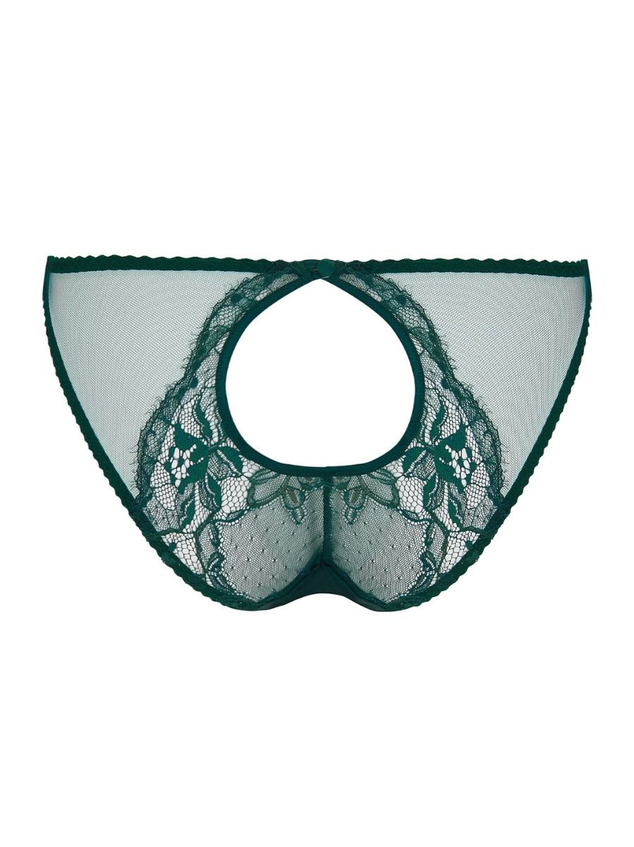 Ela Ouvert Brief