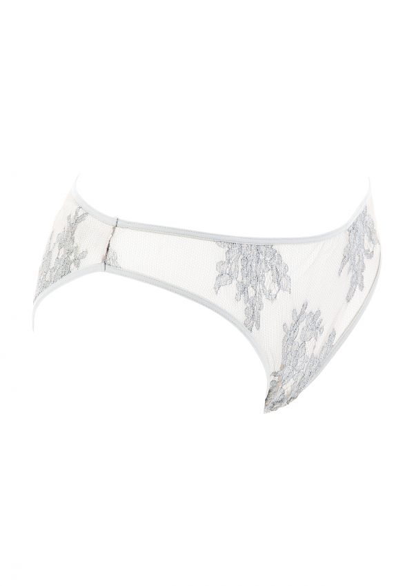Blue Jasmine Brief