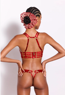 Cymatic Plunge Wire Bra