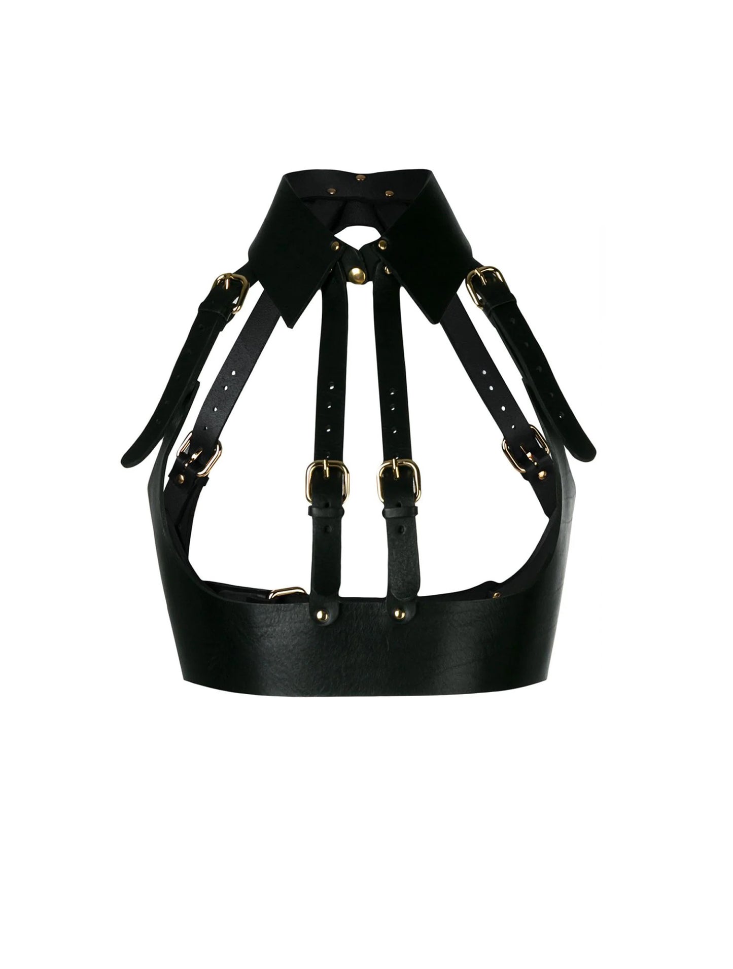 Tuxedo Harness