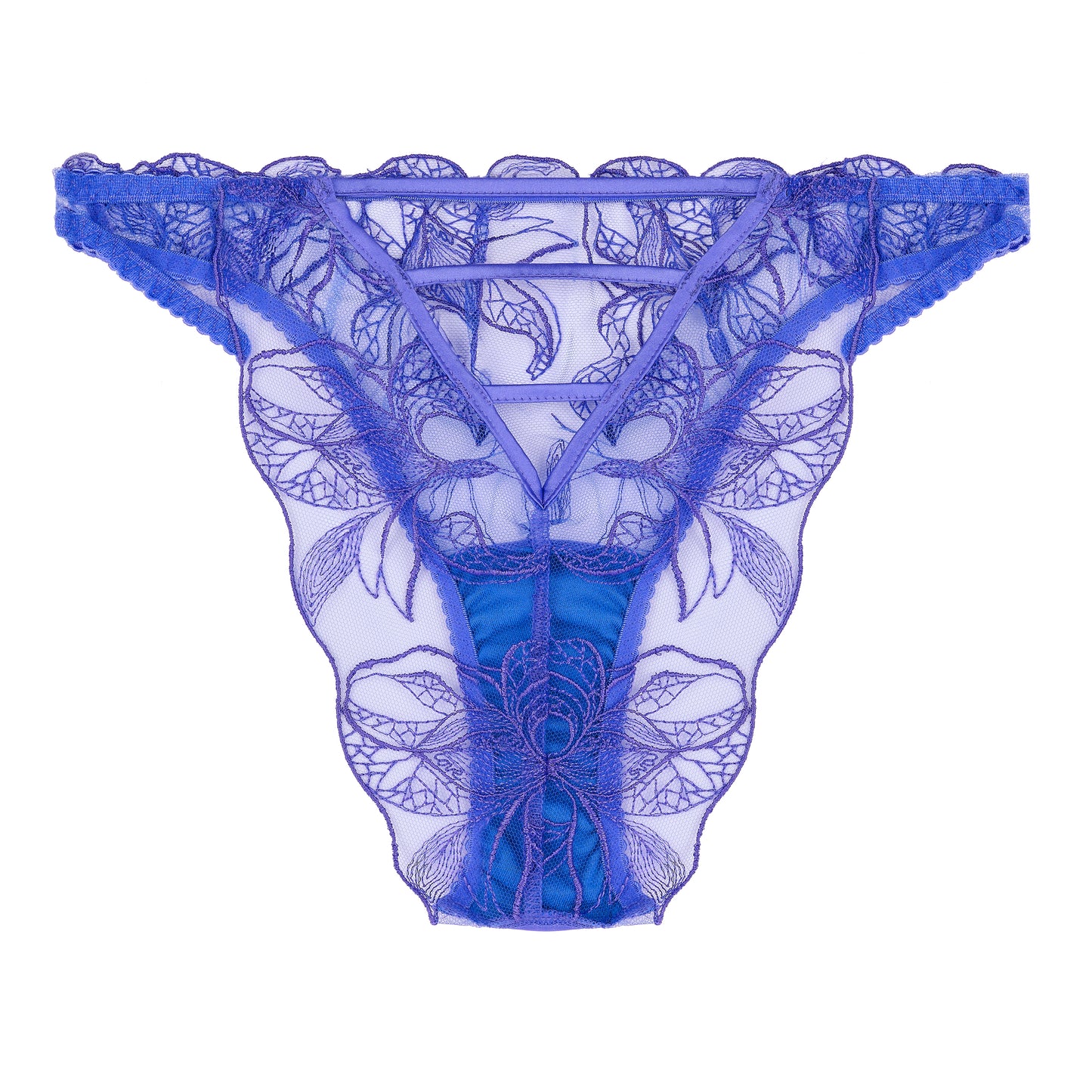 Iris Brazilian Brief