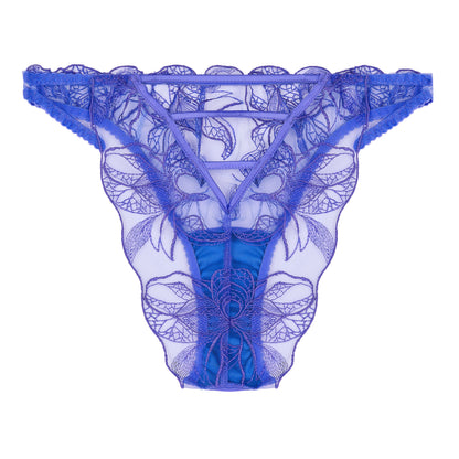 Iris Brazilian Brief