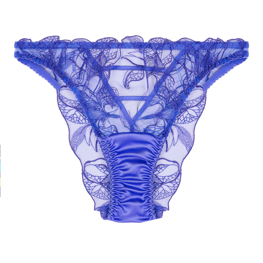 Iris Brazilian Brief