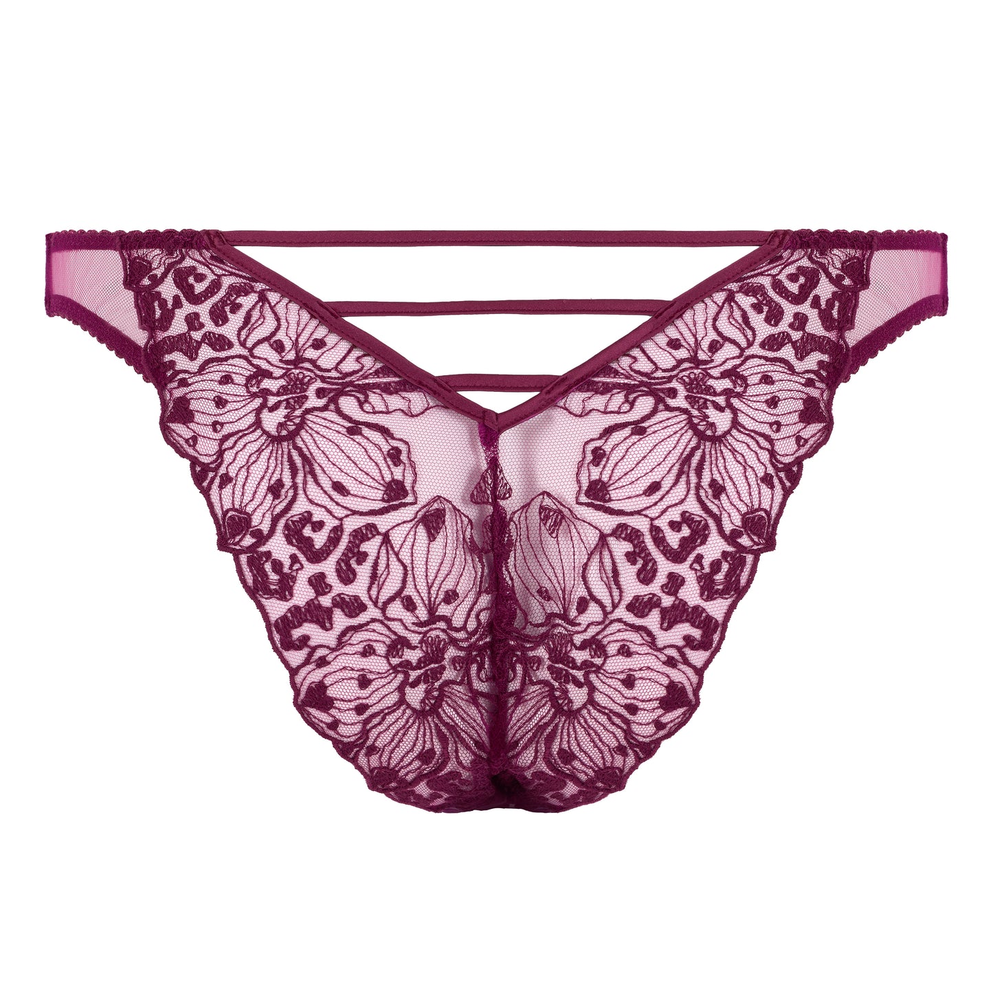 Viola Brazilian Brief