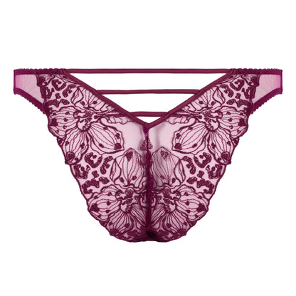 Viola Brazilian Brief