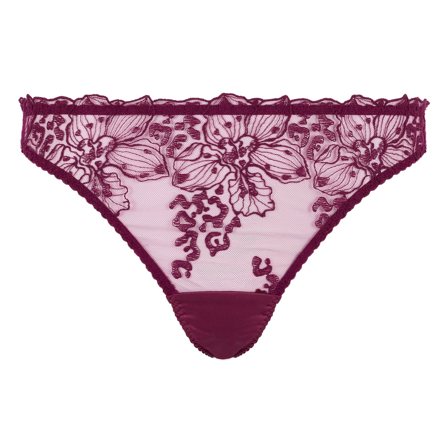 Viola Brazilian Brief