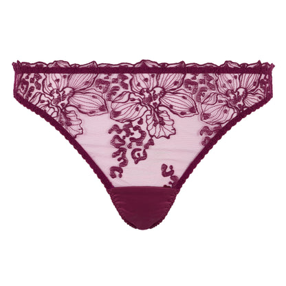 Viola Brazilian Brief