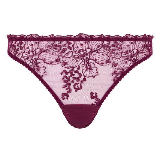Viola Brazilian Brief
