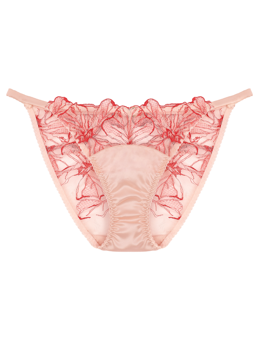 Rosa Ouvert Brief