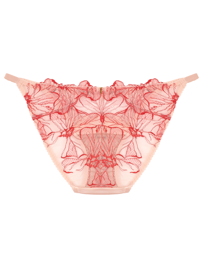 Rosa Ouvert Brief