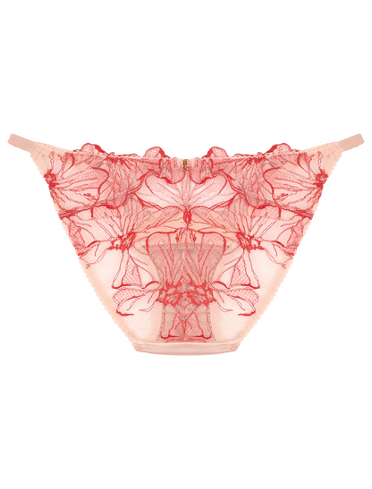 Rosa Ouvert Brief