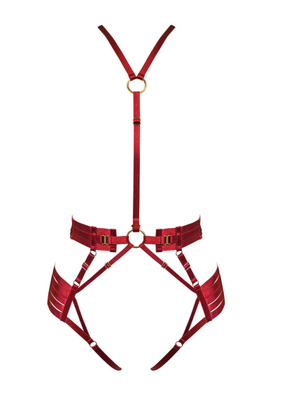 Signature Red Strap Body Harness